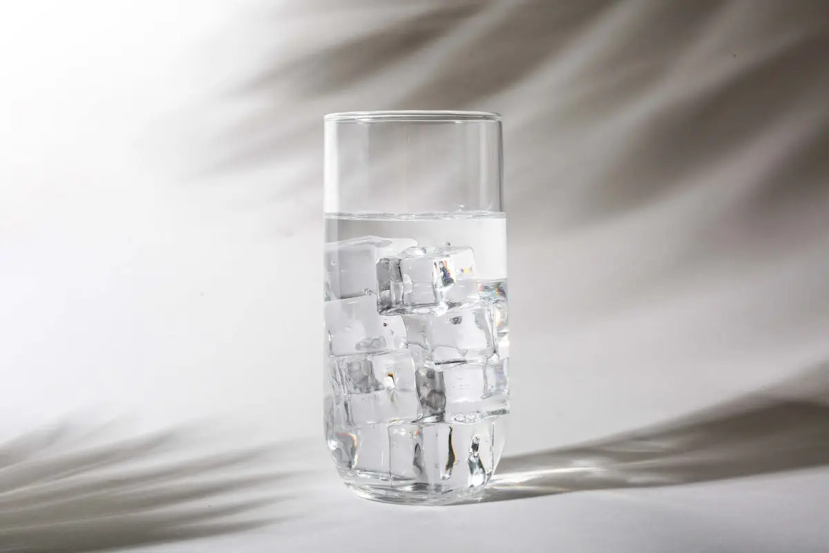 Suppliers of ICE